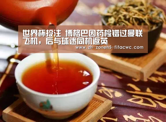 世界杯外围买球官网