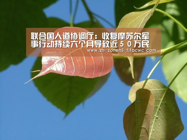 世界杯投注