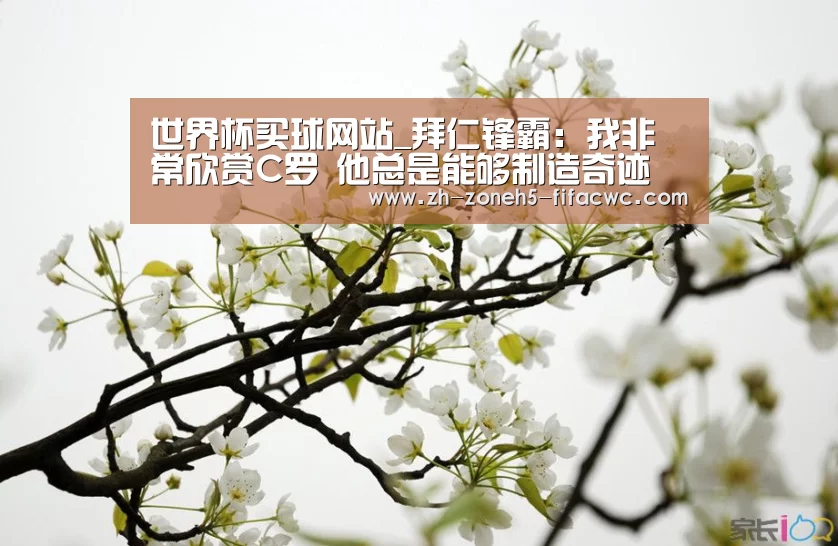 世界杯买球网站