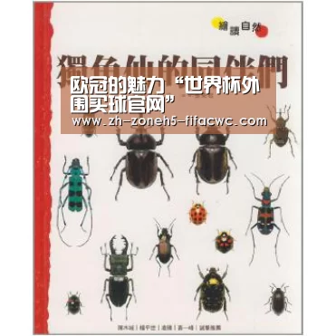 世界杯买球网站
